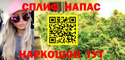 Альфа ПВП Нальчик