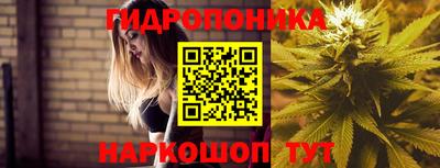 Альфа ПВП Нальчик
