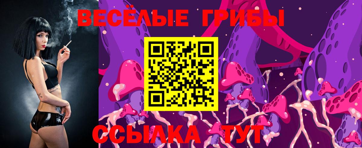 Приморско-Ахтарск  Псилоцибиновые грибы Psilocybine cubensis  Псилоцибиновые грибы мицелий  Вход с VPN 